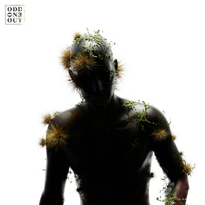 荒野乱斗r34奖励网站
