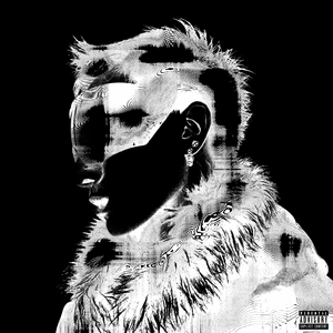 荒野乱斗r34奖励网站
