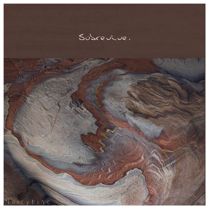 荒野乱斗r34奖励网站
