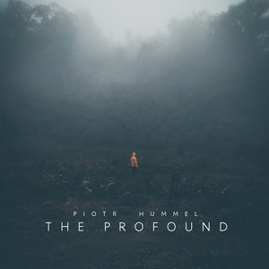 荒野乱斗r34奖励网站
